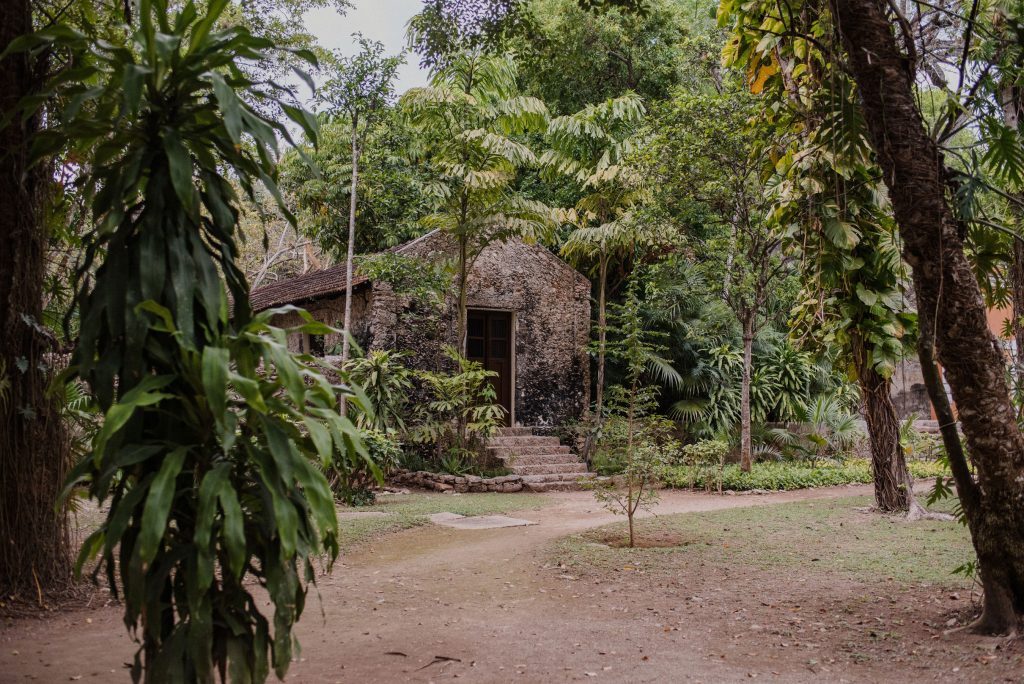 nature themed wedding