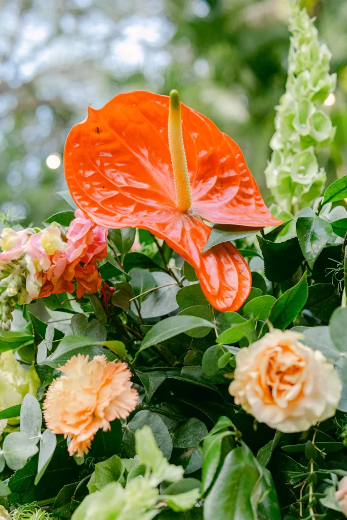Colorful wedding