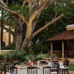 Elise_Beau-522_11zon