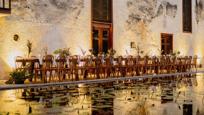 tamchen (1)